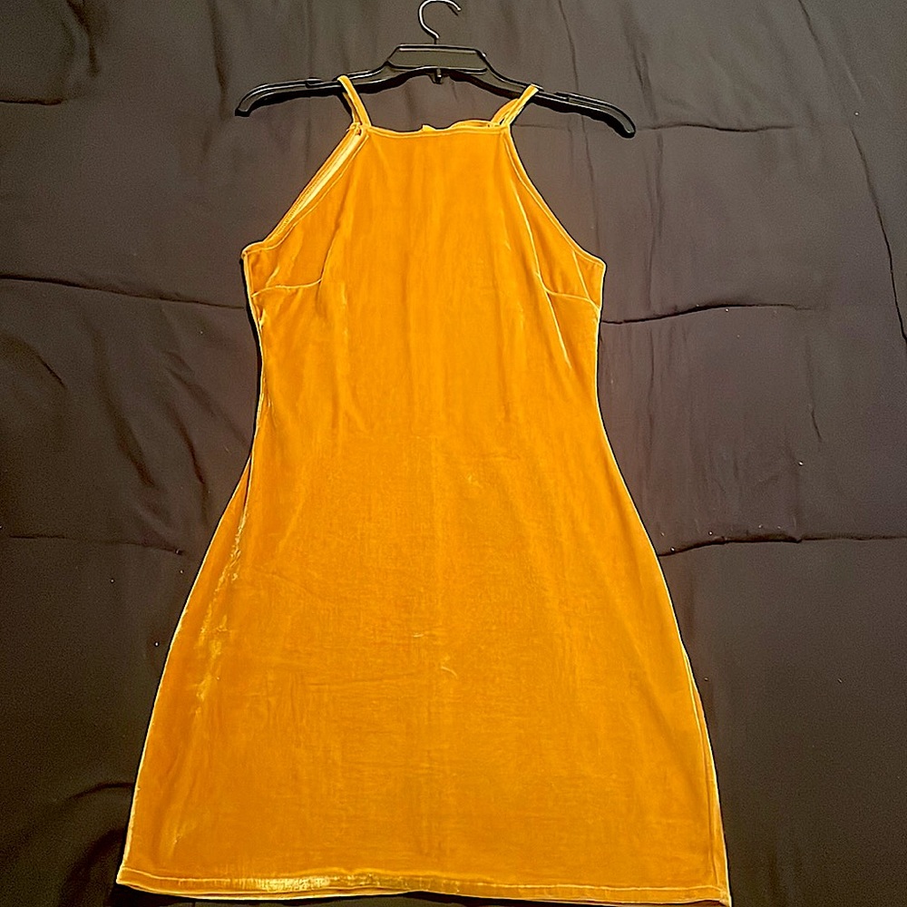 Mustard Sued dress